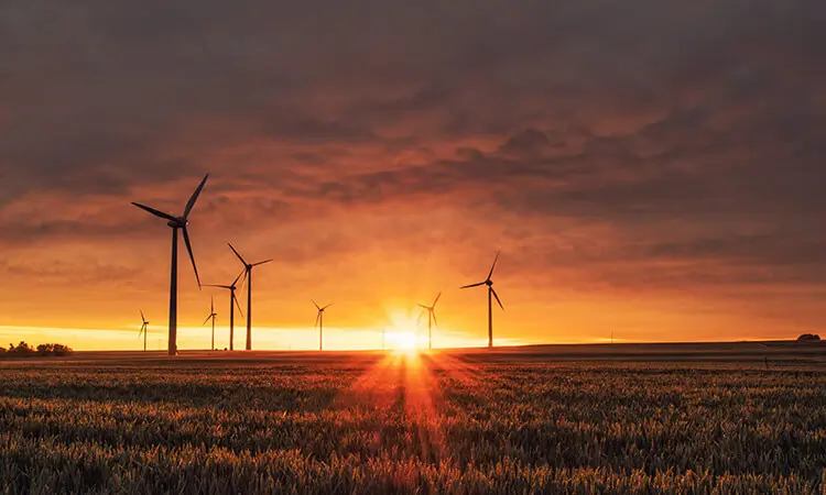 Wind turbines appear in front of sunset