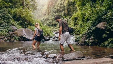 Income stream for life? Consider your lifetime annuity options
