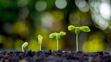 Embracing a growth investment strategy for wealth maximisation