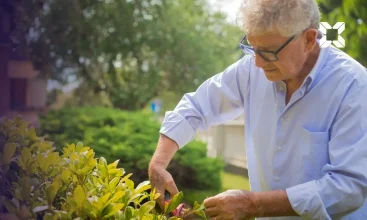 Pension lump sums: a guide to the essentials